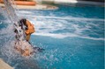 Cascata cervicale nella piscina termale esterna.